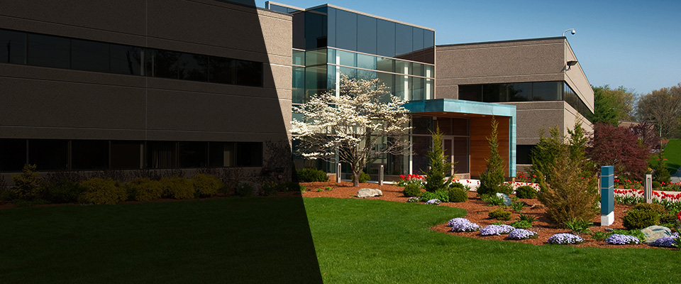 Montclair Landscapers