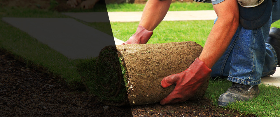 Montclair Landscapers